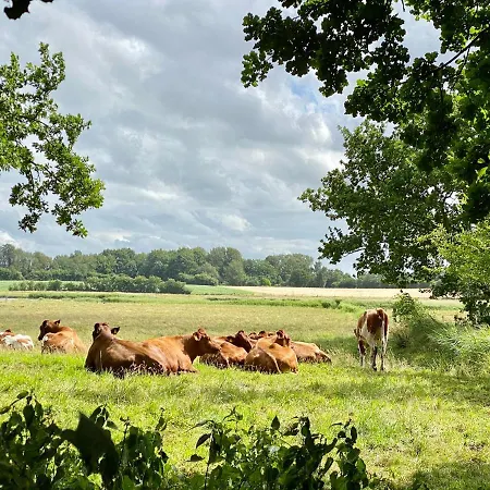 Haus Zweineun Σπίτι διακοπών Brodersby-Goltoft